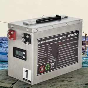 36 Volt Lithium Ion Battery Pack Marine Boat Akku 36v 40ah 50ah 60ah 80ah 100ah 200ah Lifepo4 Trolling Motor Battery